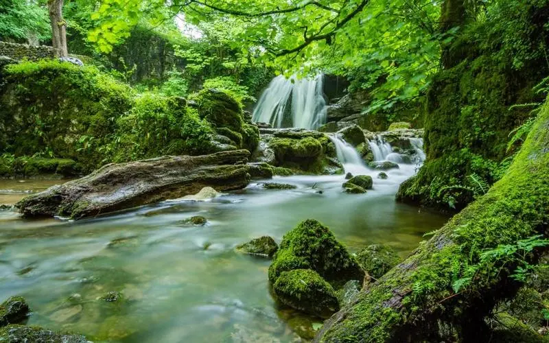 精密高效